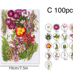 Jumbo Pack Dried Pressed Flowers and Leaves for Resin,Ready to Ship,Resin Supply,Wedding Card Making,Floral Arrangement,Frame Decorations C-100pcs