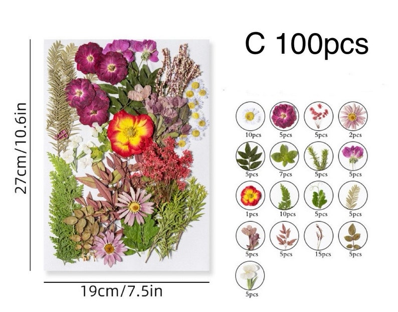 Jumbo Pack Dried Pressed Flowers and Leaves for Resin,Ready to Ship,Resin Supply,Wedding Card Making,Floral Arrangement,Frame Decorations C-100pcs