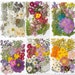 see more listings in the Pressed &dried flowers section