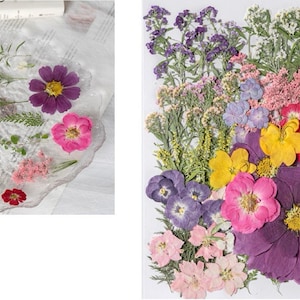 Paquet géant de fleurs et de feuilles séchées et pressées pour résine,Prêt à expédier,Résine fournie,Fabrication de cartes de mariage,Composition florale,Décoration de cadre