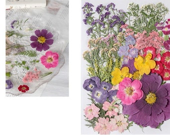 Jumbo Pack Dried Pressed Flowers and Leaves for Resin,Ready to Ship,Resin Supply,Wedding Card Making,Floral Arrangement,Frame Decoration