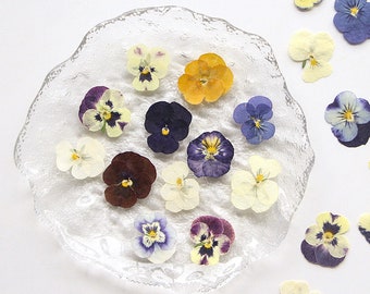16/18 pcs Mixed Natural Pressed Dried Pansy Flowers for Resin,Jewelry DIY,Resin Supply,Card Making Crafts,Nails Art,Resin Cast,Ready to ship