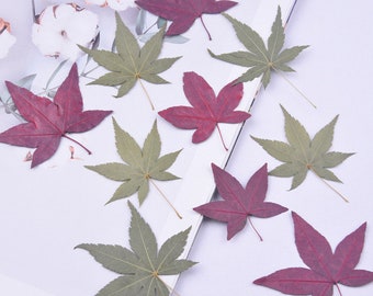 12pcs Pressed Dried Maple Leaves for Resin,Jewelry DIY,Resin Supply,Card Making Crafts,Nails Art,Resin Cast,Ready to ship, US Seller