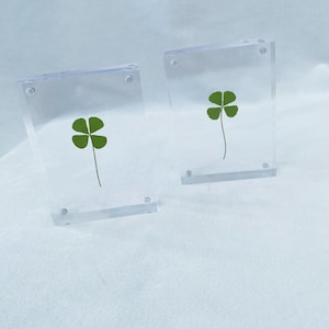Real Four Leaf Clover Lucky Charm Desktop Decor,Four Leaf Clover Frame,Shamrock Pedant,Homewarming Gift,St. Patrick’s Day,Perfect Gift