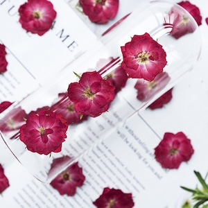 Rose naturelle séchée, pressée, mois de naissance pour résine, bijoux à bricoler soi-même, fourniture de résine, créations artisanales pour la fabrication de cartes, résine moulée, prêt à expédier, carte de mariage