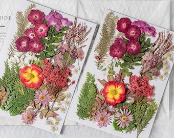 Jumbo Pack Dried Pressed Flowers and Leaves for Resin,Ready to Ship,Resin Supply,Wedding Card Making,Floral Arrangement,Frame Decoration