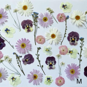 60 st naturliga ätbara pressade blommor och blad, livsmedelssäkra pressade blommor, bröllopstårtdekorationsblommor, redo att skickas