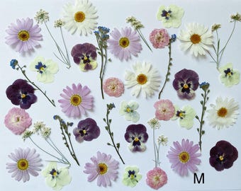 60 stks natuurlijke eetbare geperste bloemen en bladeren, voedselveilige geperste bloemen, bruidstaart decoratie bloemen, klaar voor verzending