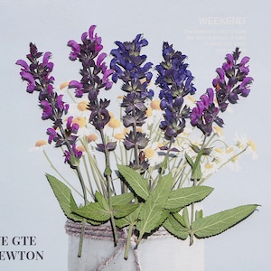 Natural Edible Pressed Dried Garden Sage,Food-Safe Pressed Leaves,Wedding Cake Decoration Flowers,Ready to Ship