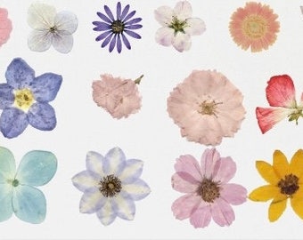40 stuks plantenstickers set, Amerikaanse verkoper, bloemencollage, dagboek, plakboek, harsroos ambachten, transparante stickers, bladset, klaar voor verzending