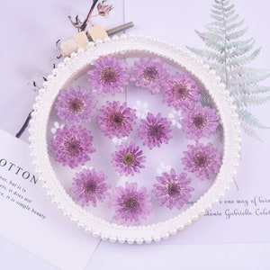 Aster/crisantemo essiccato pressato per resina, pronto per la spedizione, gioielli fai da te, fornitura di resina, creazione di biglietti di nozze, composizione floreale, biglietto di auguri