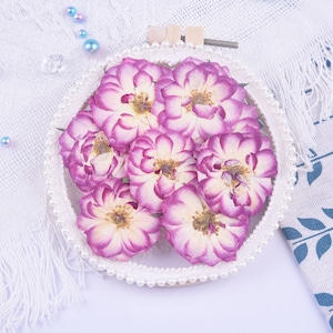 Flores de rosa mixtas prensadas secas, flor prensada, joyería DIY, suministros de resina, tarjeta de boda, listo para enviar, arreglo floral