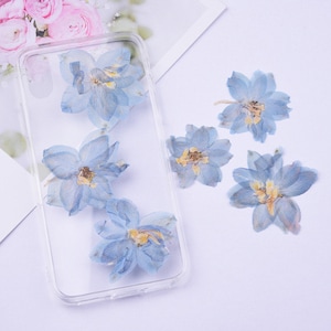 Fiori blu essiccati pressati per resina, gioielli fai da te, forniture in resina, creazione di biglietti, nail art, resina colata, pronti per la spedizione, venditore negli Stati Uniti.