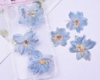 Pressed Dried Blue Flowers for Resin,Jewelry DIY,Resin Supply,Card Making Crafts,Nails Art,Resin Cast,Ready to ship, US Seller