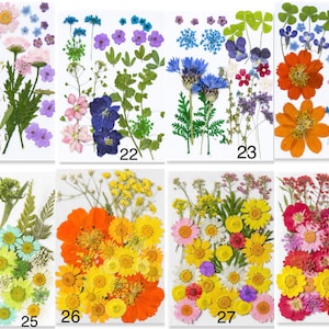 May include: A collection of dried pressed flowers in various colors, including pink, purple, orange, yellow, and blue. The image is divided into sections, each displaying a different arrangement of flowers and foliage. Numbers 21-28 are visible in the image.