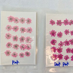 Dried Queen Anne's Lace Flower for resin, Jewelry DIY, Resin Supplies,Card Making Crafts,Pastel Room Color,Wedding,Resin Cast,Ready to ship image 5