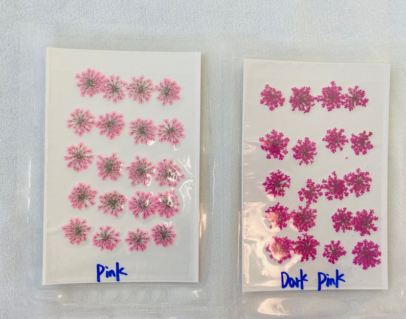 Dried Queen Anne's Lace Flower for resin, Jewelry DIY, Resin Supplies,Card Making Crafts,Pastel Room Color,Wedding,Resin Cast,Ready to ship image 5