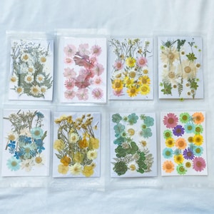 À VENDA 200 unidades de flores secas prensadas e folhas para resina, suprimentos para joias, fabricação de cartões de casamento, arranjos florais, decoração de molduras, frete grátis