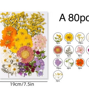 Jumbo Pack Dried Pressed Flowers and Leaves for Resin,Ready to Ship,Resin Supply,Wedding Card Making,Floral Arrangement,Frame Decorations A-80pcs