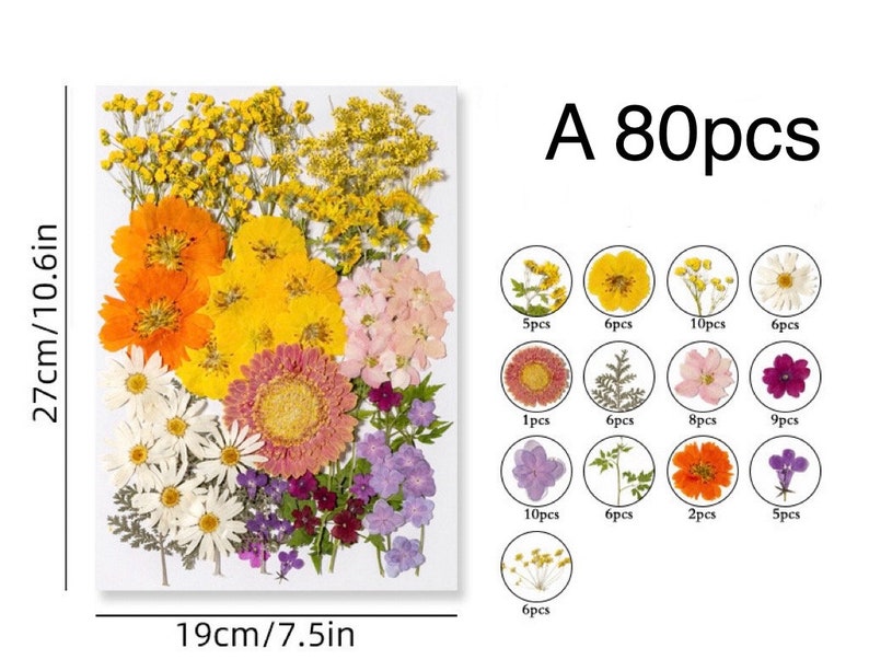 Jumbo Pack Dried Pressed Flowers and Leaves for Resin,Ready to Ship,Resin Supply,Wedding Card Making,Floral Arrangement,Frame Decorations A-80pcs
