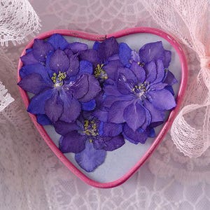 Puede incluir: Un marco rosa en forma de corazón lleno de vibrantes flores moradas. Las flores tienen múltiples capas de pétalos y centros amarillos. Delicado encaje blanco y una cinta rosa rodean el marco, creando una estética romántica.