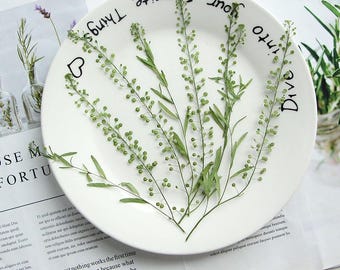 Natural Edible Pressed Dried Pressed Long Virginia Pepperweed,Food-Safe Pressed Leaves,Wedding Cake Decoration Flowers,Ready to Ship