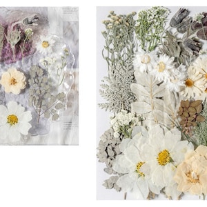 Paquet géant de fleurs et de feuilles séchées et pressées pour résine,Prêt à expédier,Résine fournie,Fabrication de cartes de mariage,Composition florale,Décoration de cadre