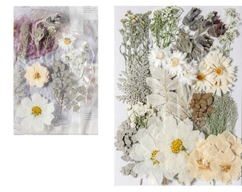 Jumbo Pack Dried Pressed Flowers and Leaves for Resin,Ready to Ship,Resin Supply,Wedding Card Making,Floral Arrangement,Frame Decoration