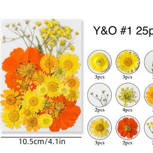 Flores y hojas prensadas secas para resina, listas para enviar, bricolaje de joyería, suministro de resina, tarjeta/mesa de boda, arreglos florales, decoraciones de marcos