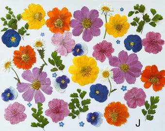 60 stks natuurlijke eetbare geperste bloemen en bladeren, voedselveilige geperste bloemen, bruidstaart decoratie bloemen, klaar voor verzending