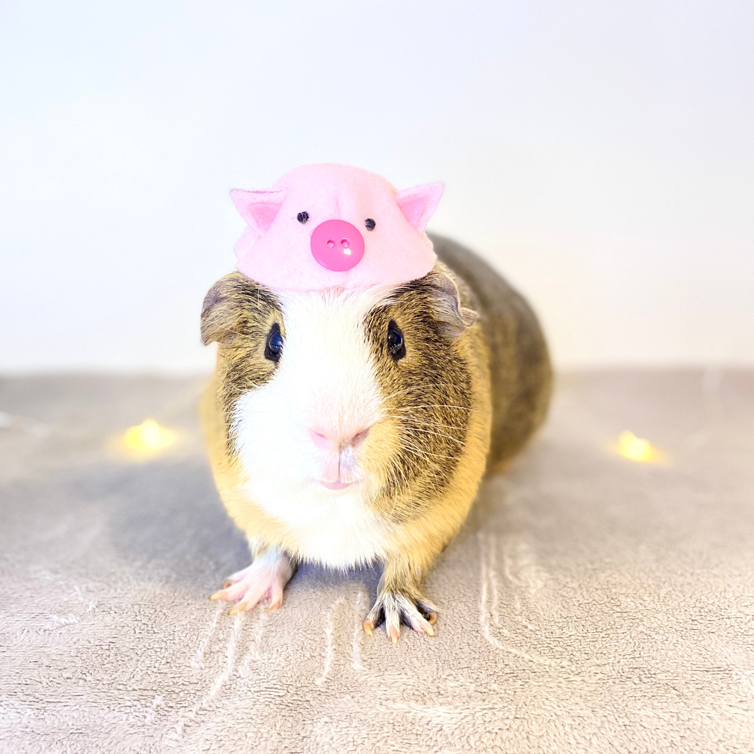 Small Pet Animal Hat Accessory Hat for Guinea Pig Hat for Etsy