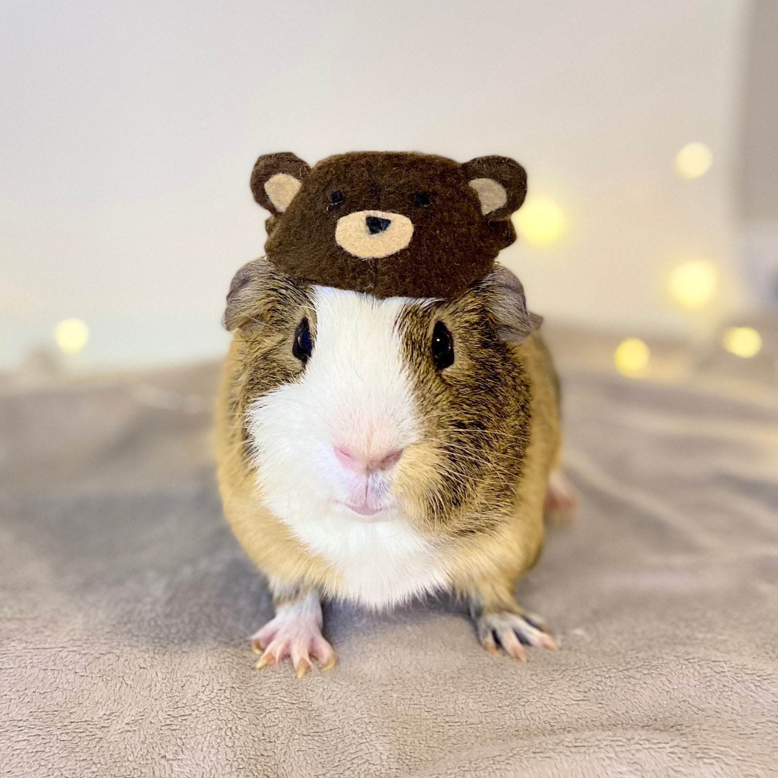 Small Pet Animal Hat Accessory Hat for Guinea Pig Hat for Etsy