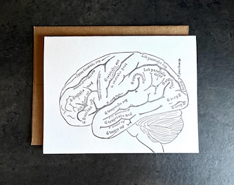 Brain Anatomy Letterpress Card