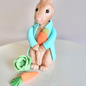 May include: A brown bunny rabbit wearing a light blue jacket and holding a carrot. The bunny is standing on a white surface with a green flower and a carrot on the side.