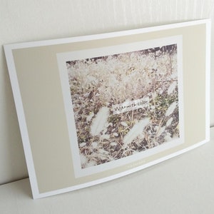 アイボリー "Ivory"conjunto de postales de 3 impresiones