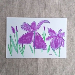 Illustration "Ayame" Postkarte 3er Set erfrischende Naturkunst