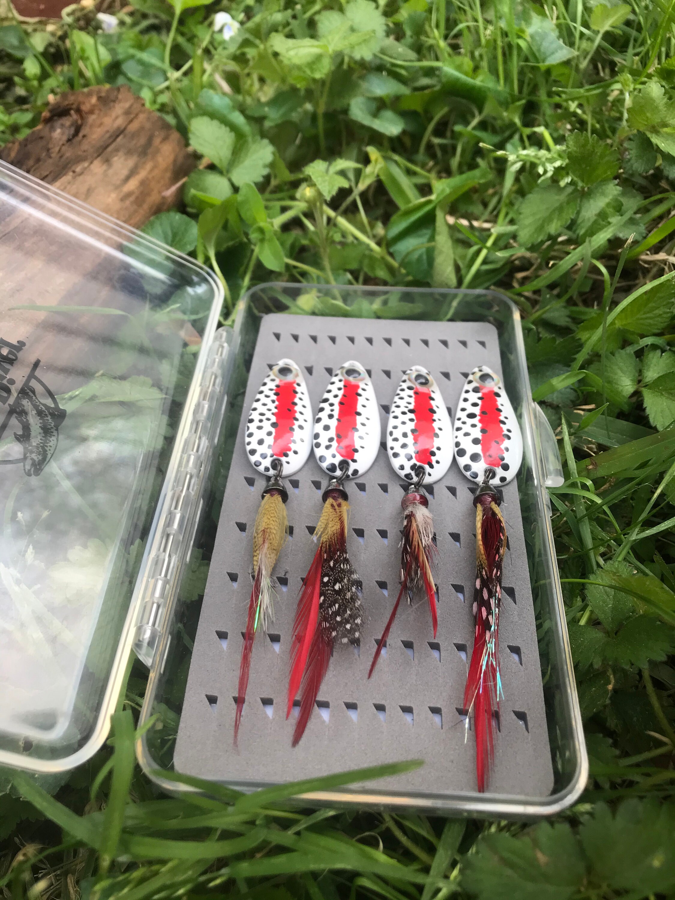 Rainbow trout spoons 4 pack with case Etsy