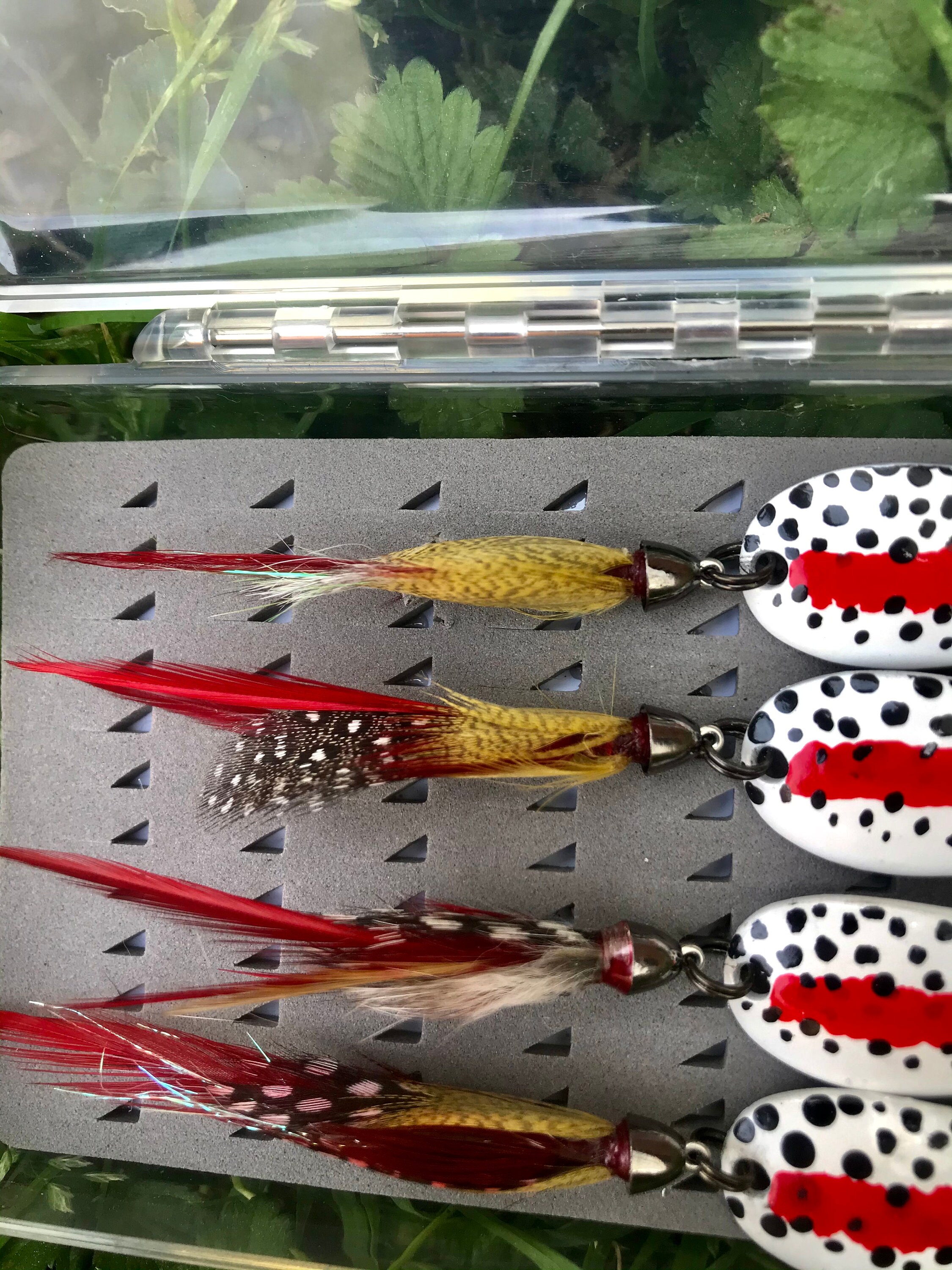 Rainbow trout spoons 4 pack with case Etsy