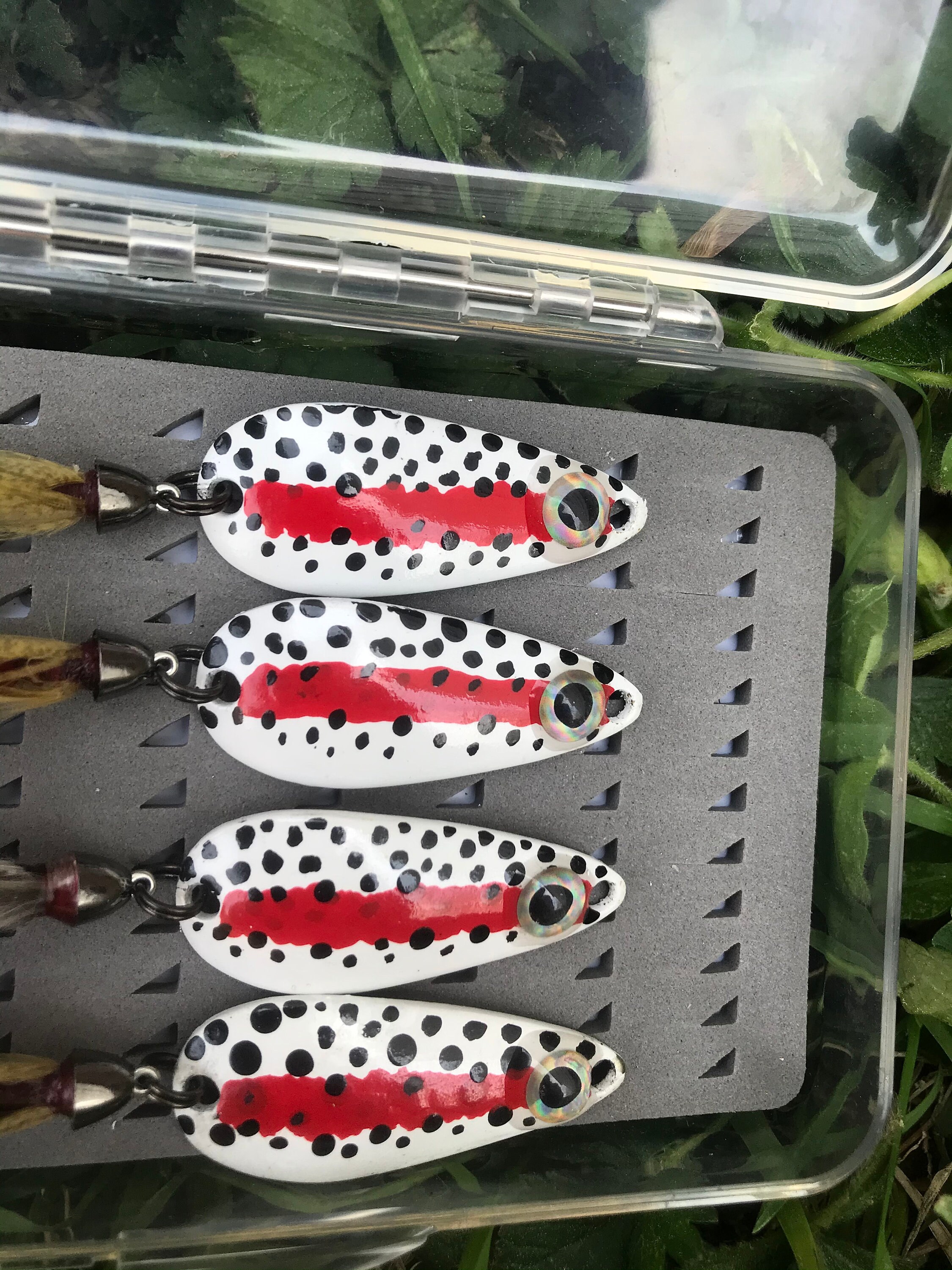 Rainbow trout spoons 4 pack with case Etsy