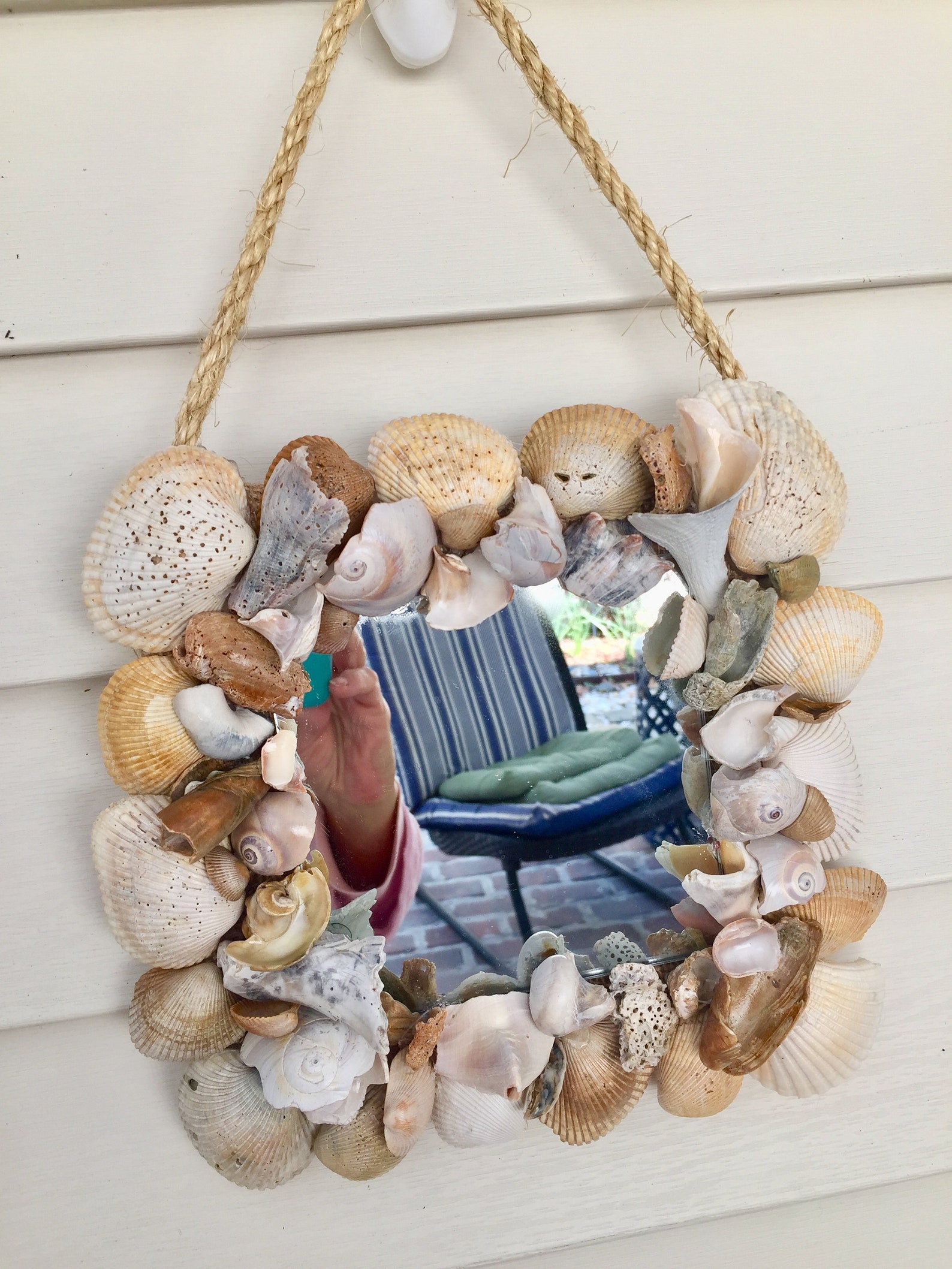 Coastal/seashell/wall Home Decor Mirror/hanger/gray Seashell Etsy