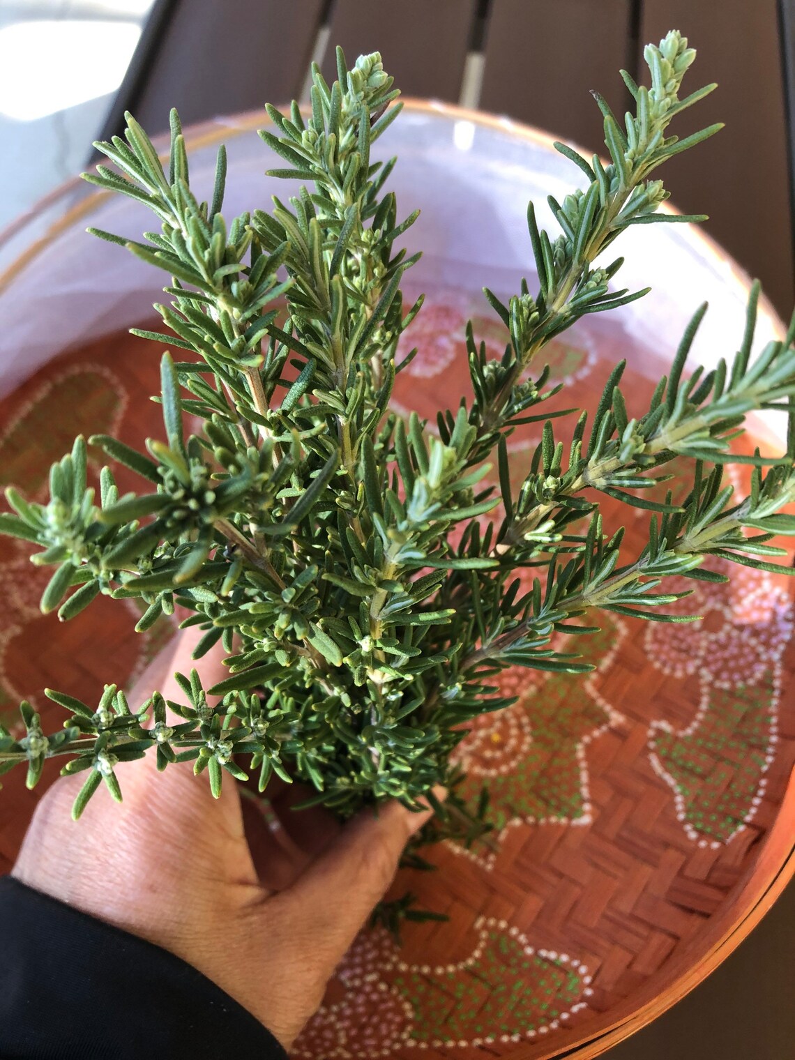 Fresh Organic Rosemary 12 Stems Etsy