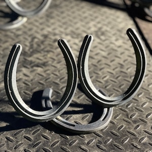 Horseshoe Picture Frame (Twin Frame)