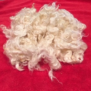 1 oz / 30g. sac shiny white  3-4 " adult mohair locks