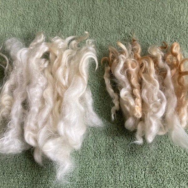 Long yearling mohair locks ~ very clean, separated locks for felting and tailspinning and spinning.
