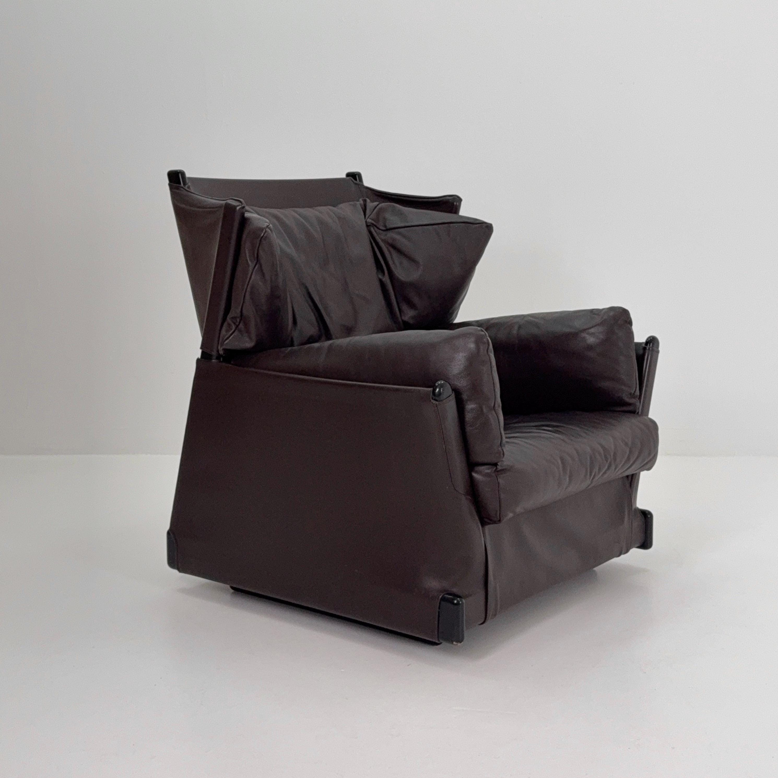 Mid Century Cassina 'viola D'amore' Armchairs by Piero De Martini