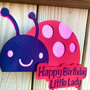 Ladybug cake topper, Happy birthday little lady, birthday cake topper, girls birthday, party decor, pink and red party decoration