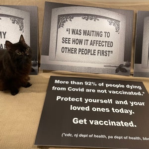 YARD SIGN: I Did My Own Research pro-vaccine tombstone get vaccinated covid vaccination, ironic decoration, lawn sign international image 6