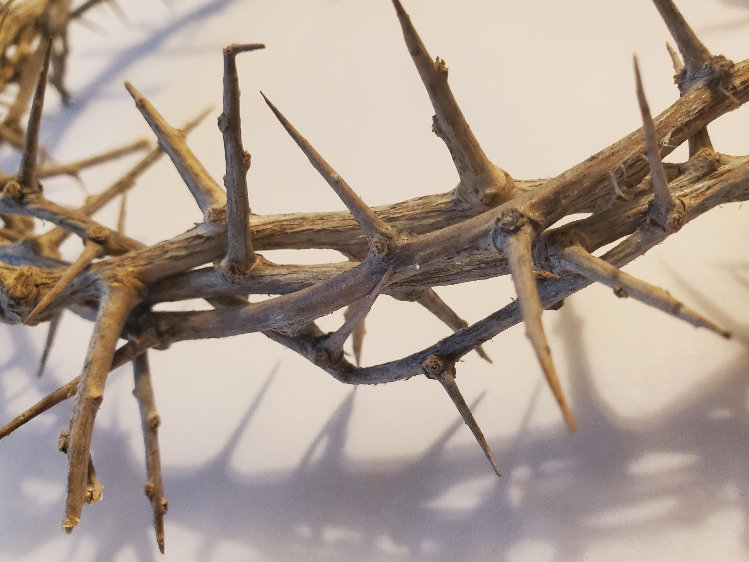 Hand Made Crown of Thorns - Etsy