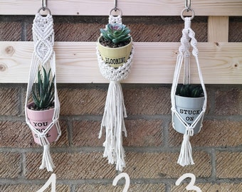 Macramé plant hanger