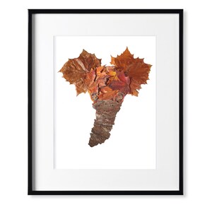 Elephant Print, Made of Foliage Items, Nature Print, Handmade